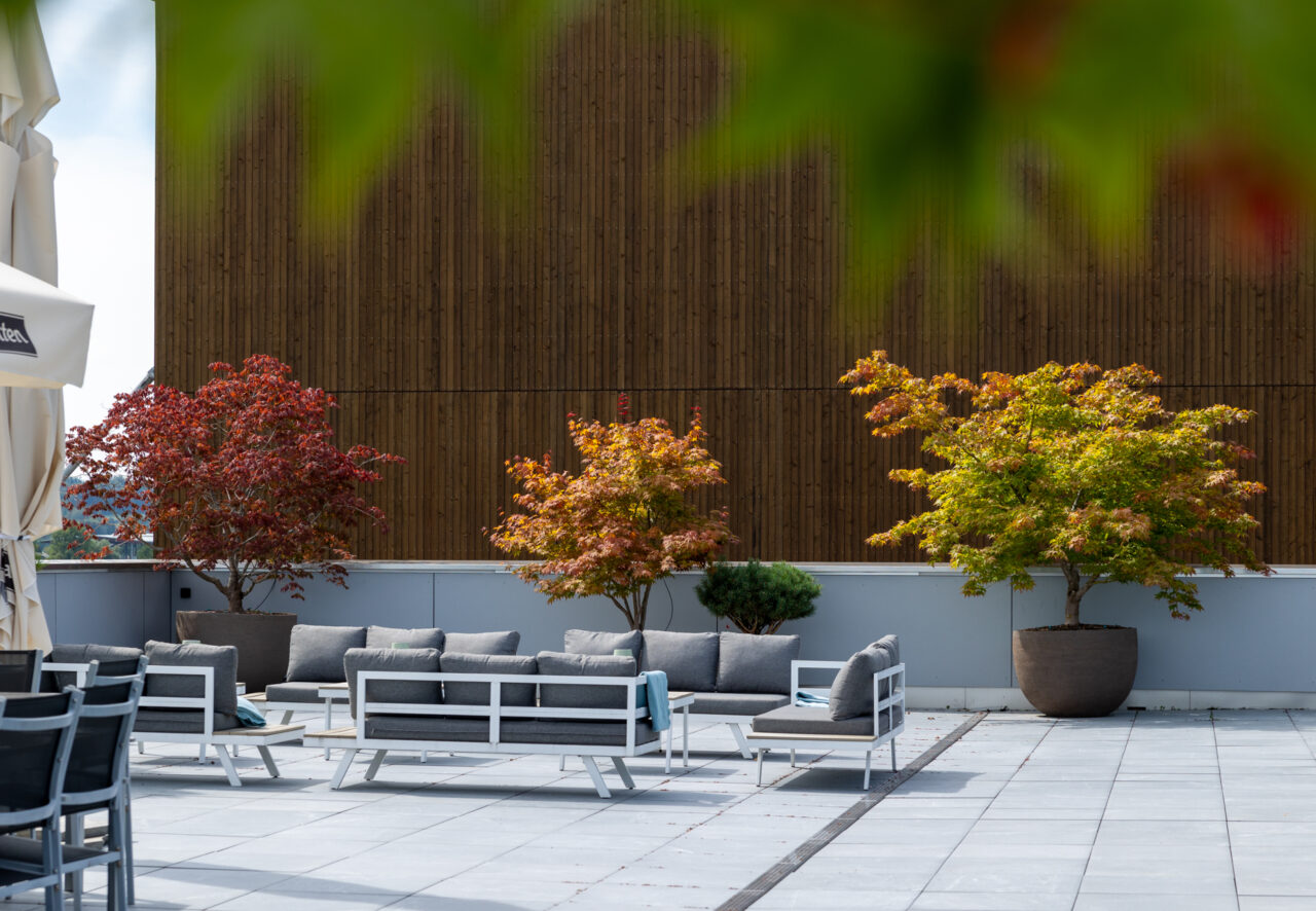 Wargerbösch AG | Gastro | Dachterrasse
